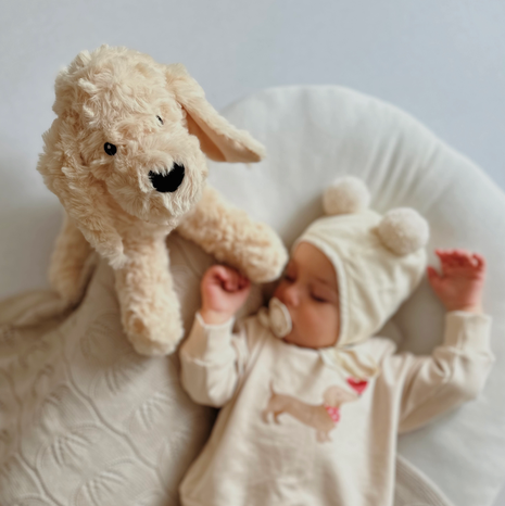 Hund Kuscheltier personalisiert