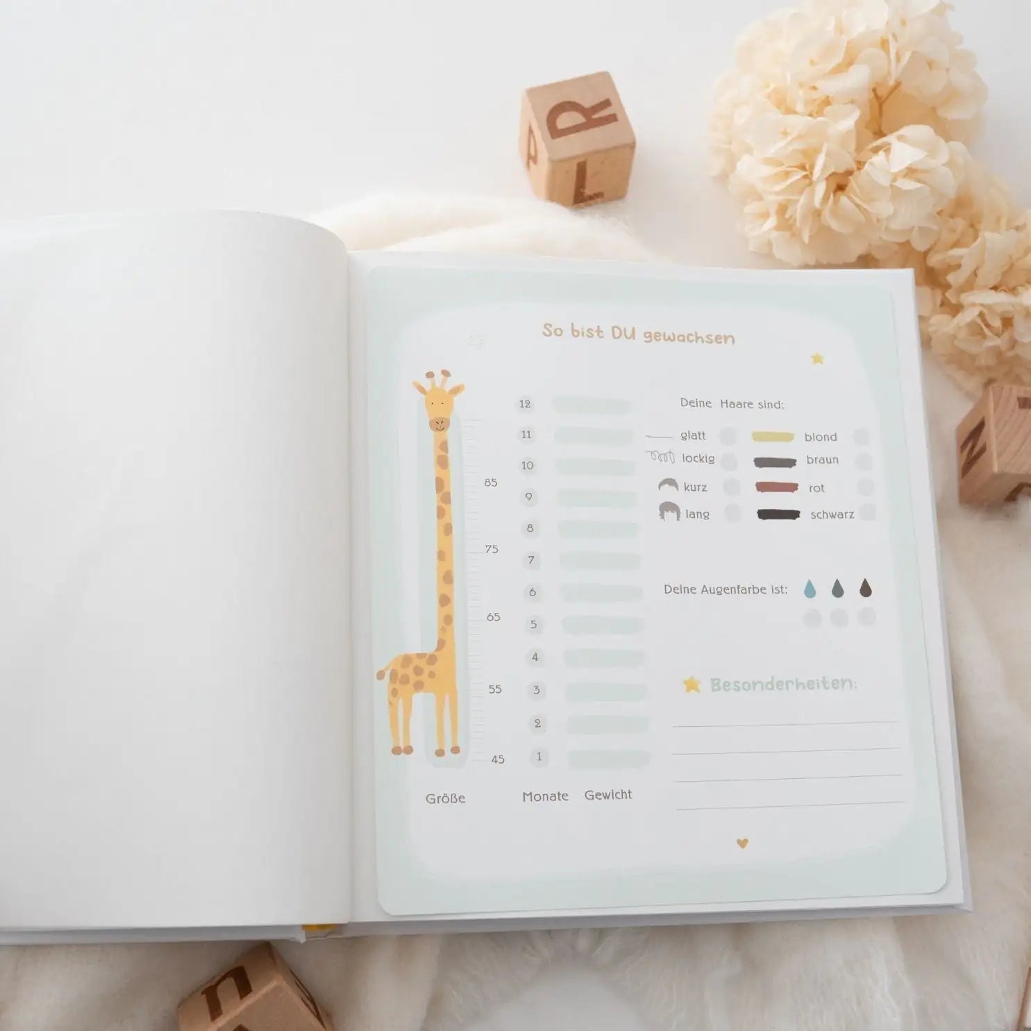 Babytagebuch Wal „Hello little One“ personalisierbar - wunderwunsch