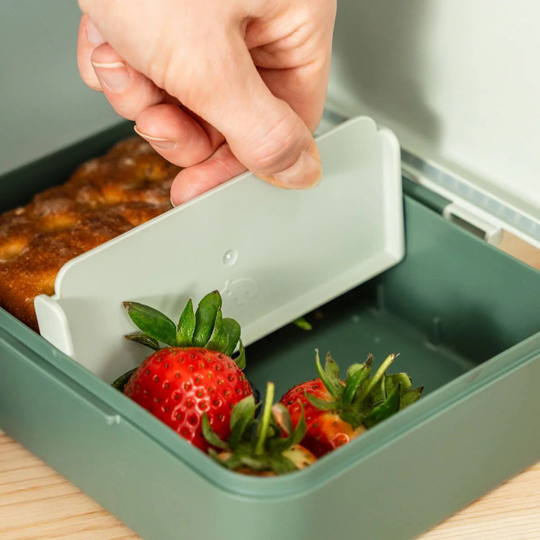 DONEBYDEER Kinder Brotdose personalisiert - Tiny Trails - wunderwunsch