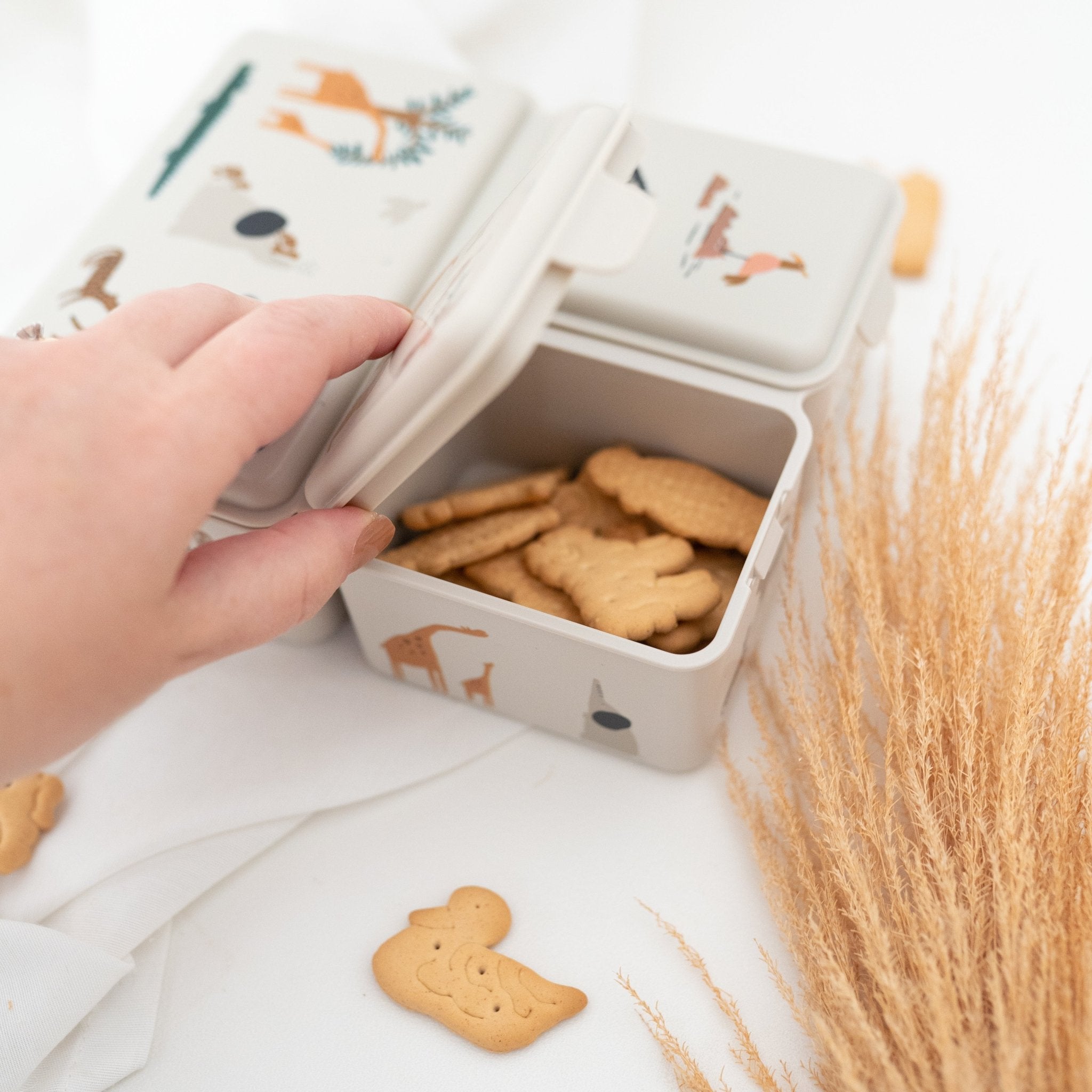 LIEWOOD Lunchbox mit 3 Fächern personalisiert - wunderwunsch