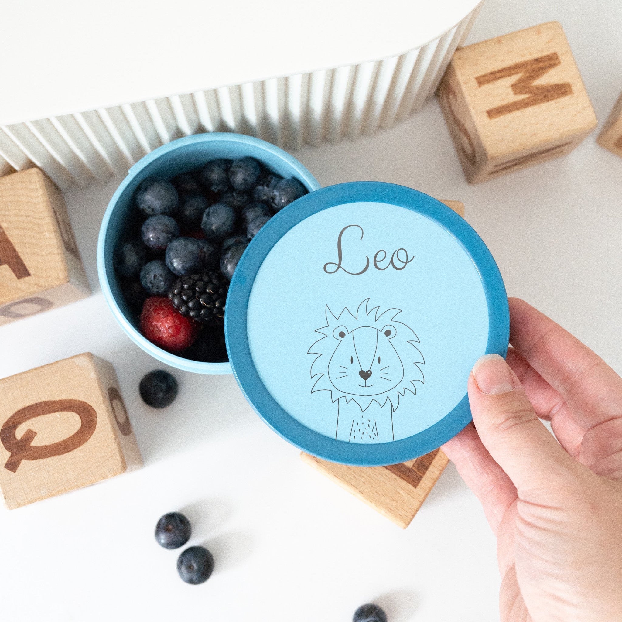 MEPAL Obstbox personalisiert - Tier - wunderwunsch