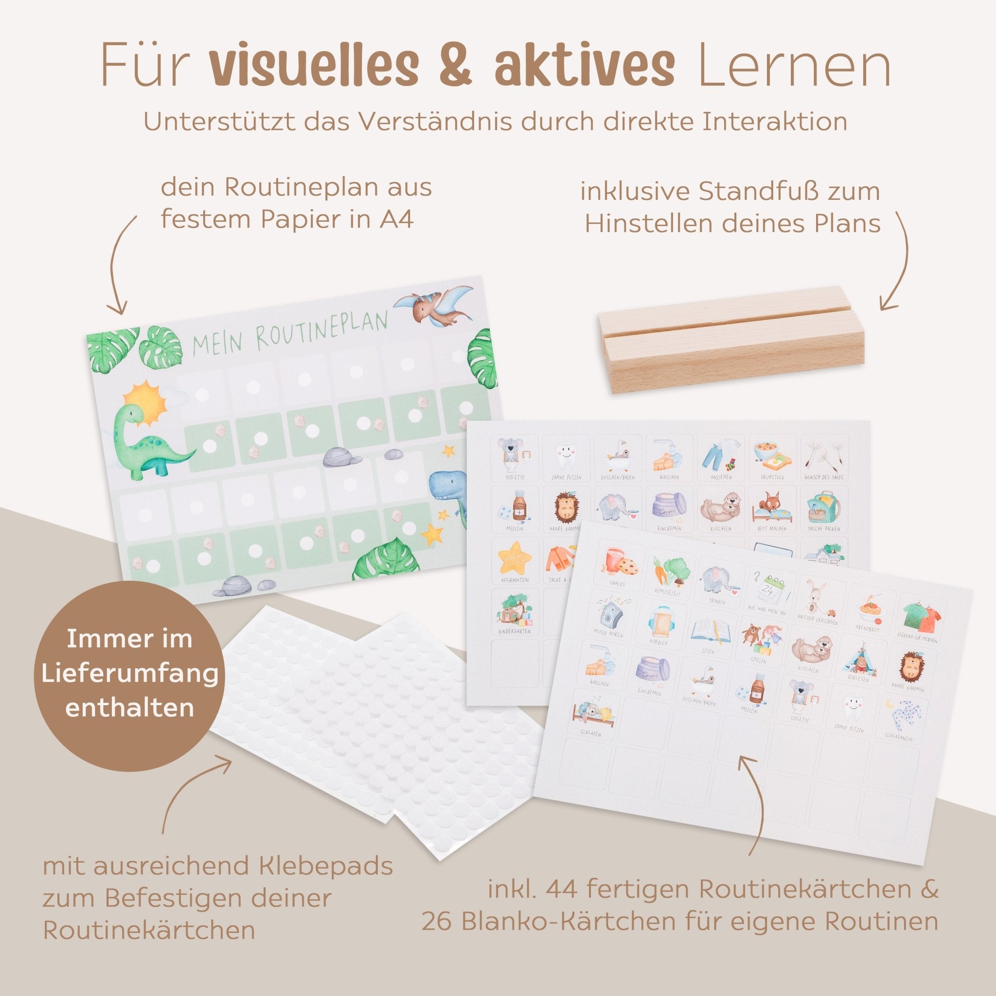 Routineplan "Dinos" - wunderwunsch