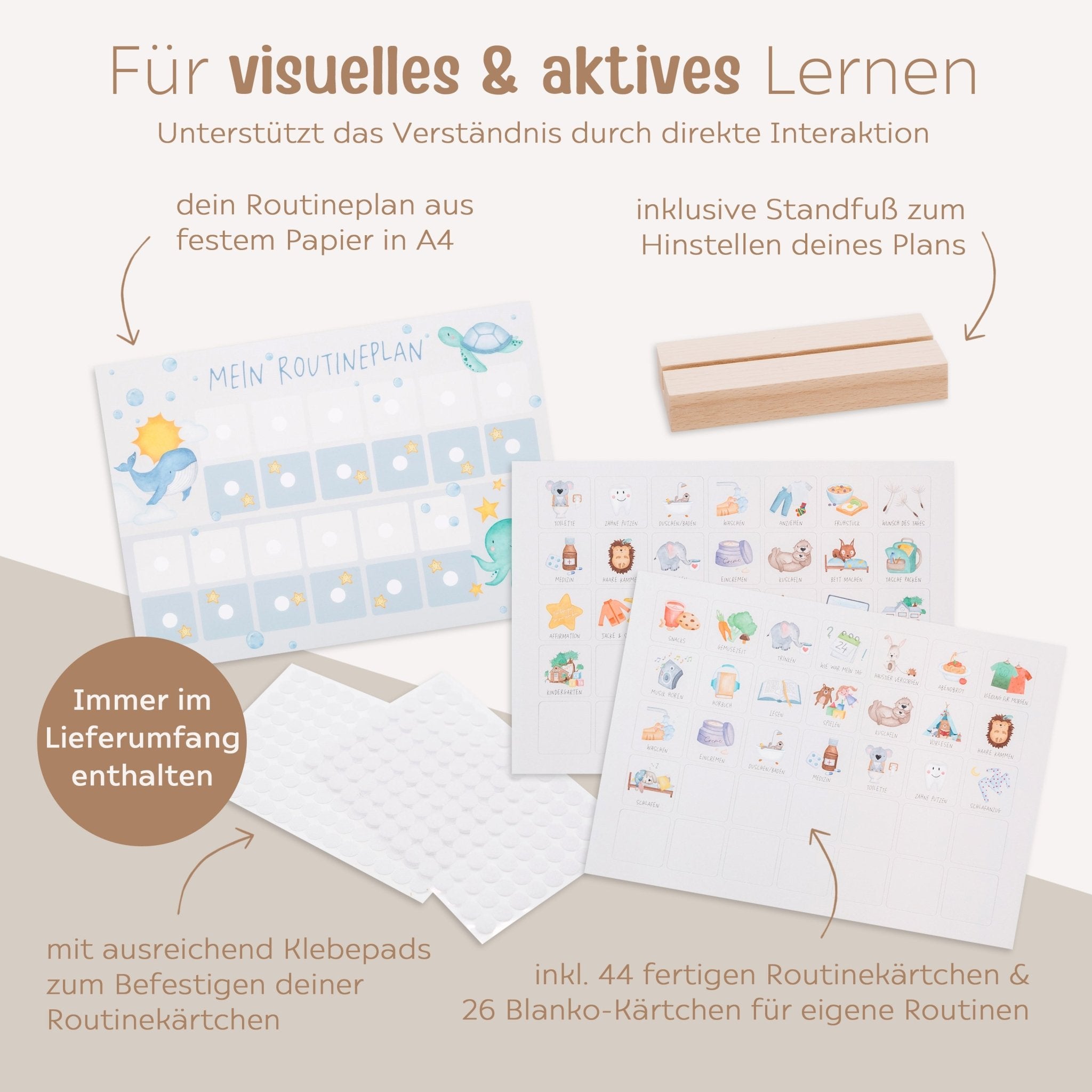 Routineplan "Meerestiere" - wunderwunsch