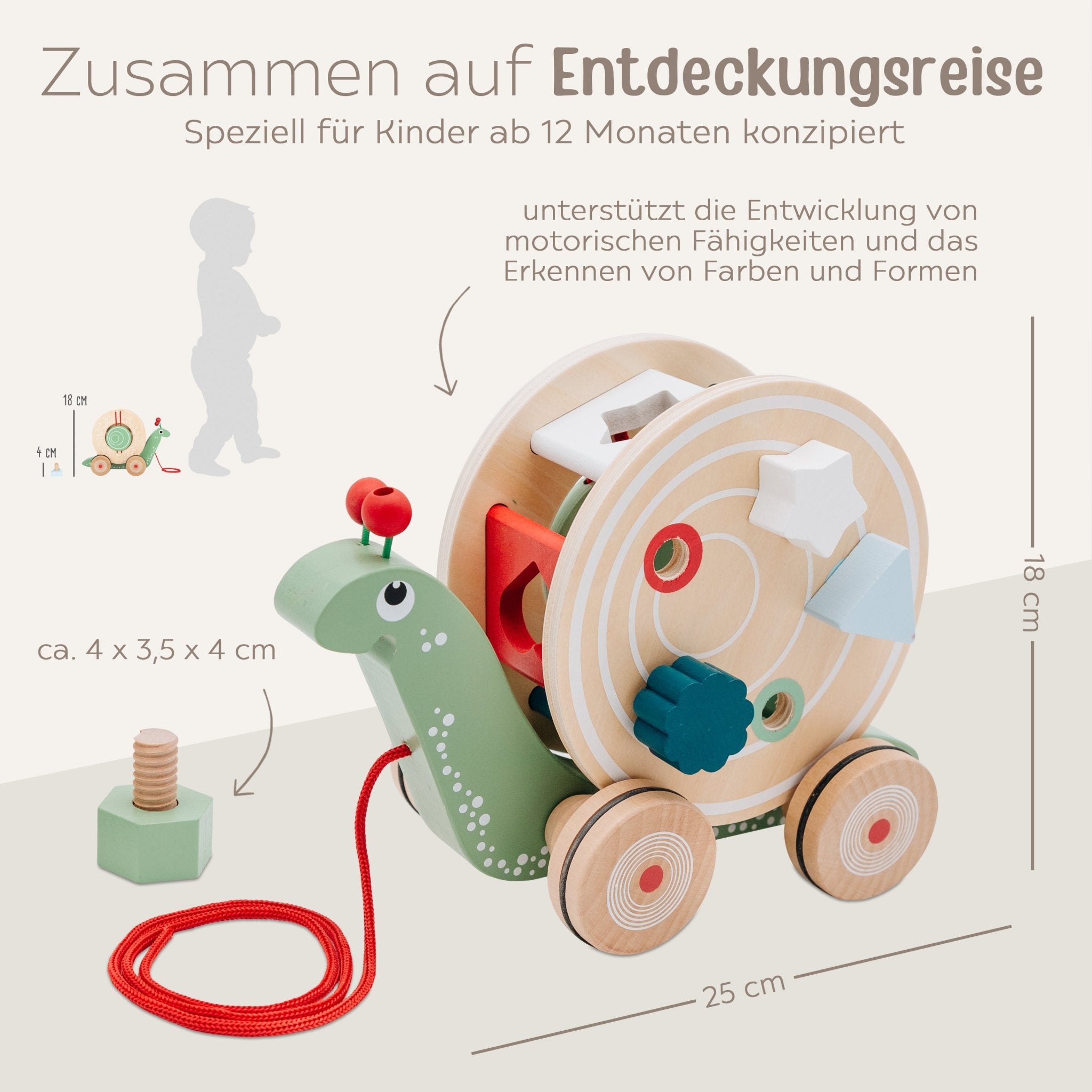 SMALL FOOT Nachzieh - und Stecktier Schnecke Grün Holz personalisiert - wunderwunsch
