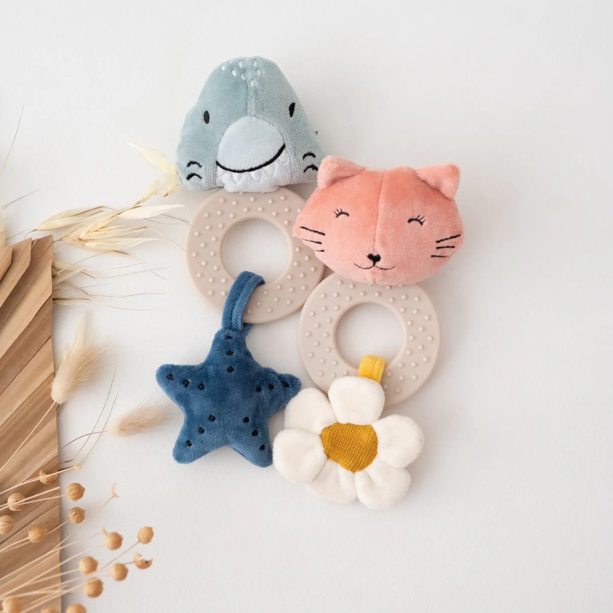 balloony hundefutter testbericht Superfood Lachs