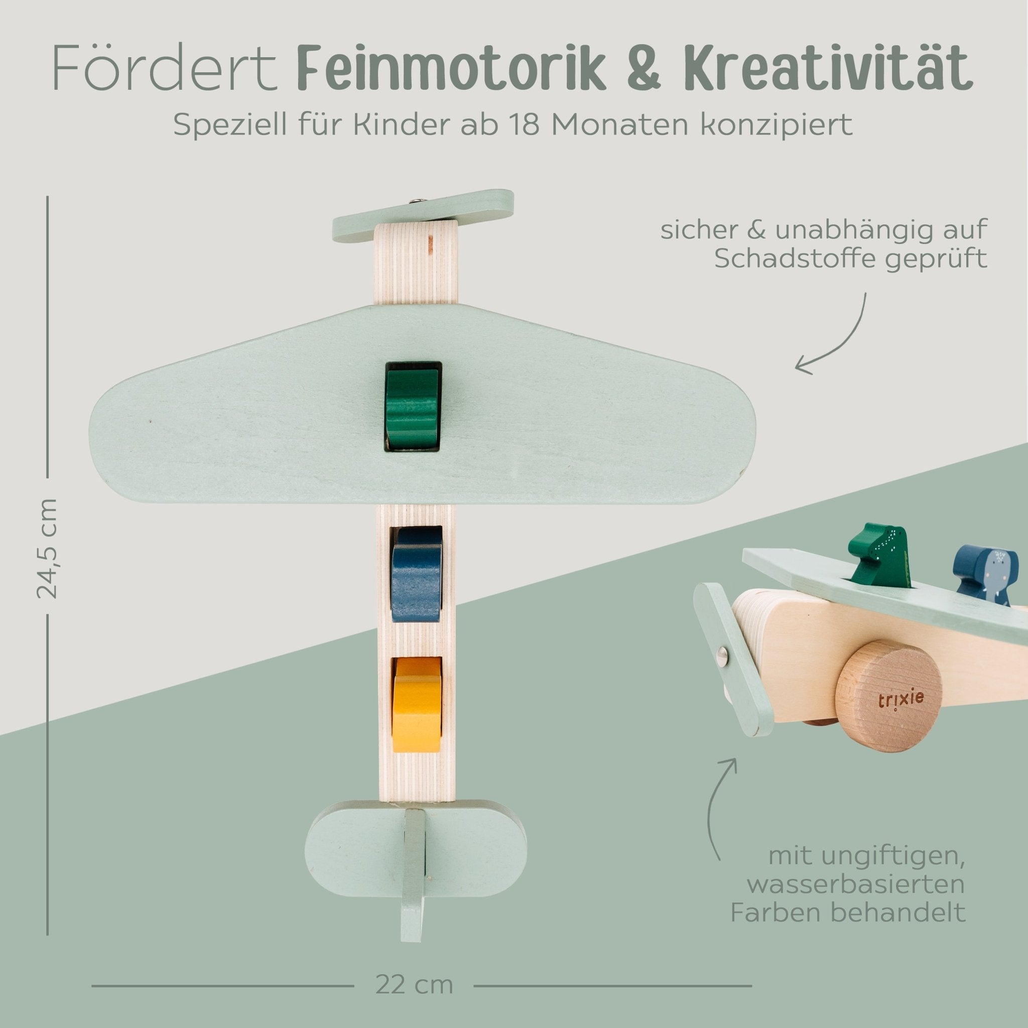 TRIXIE Flugzeug Holz personalisiert - wunderwunsch