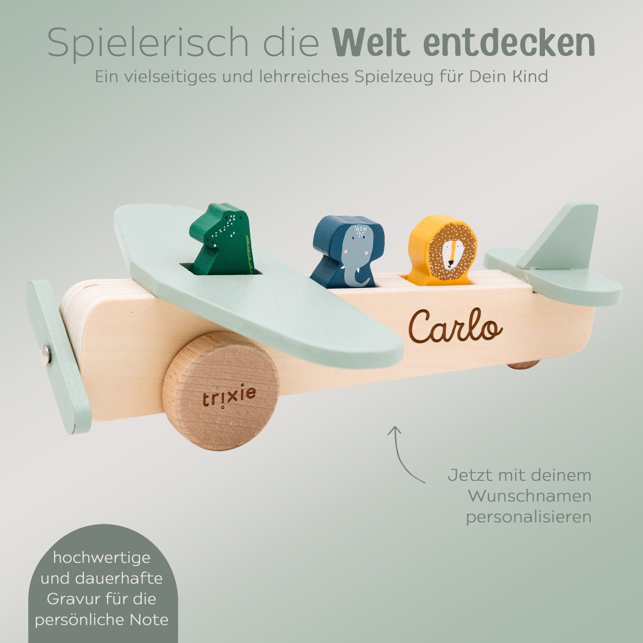 TRIXIE Flugzeug Holz personalisiert - wunderwunsch