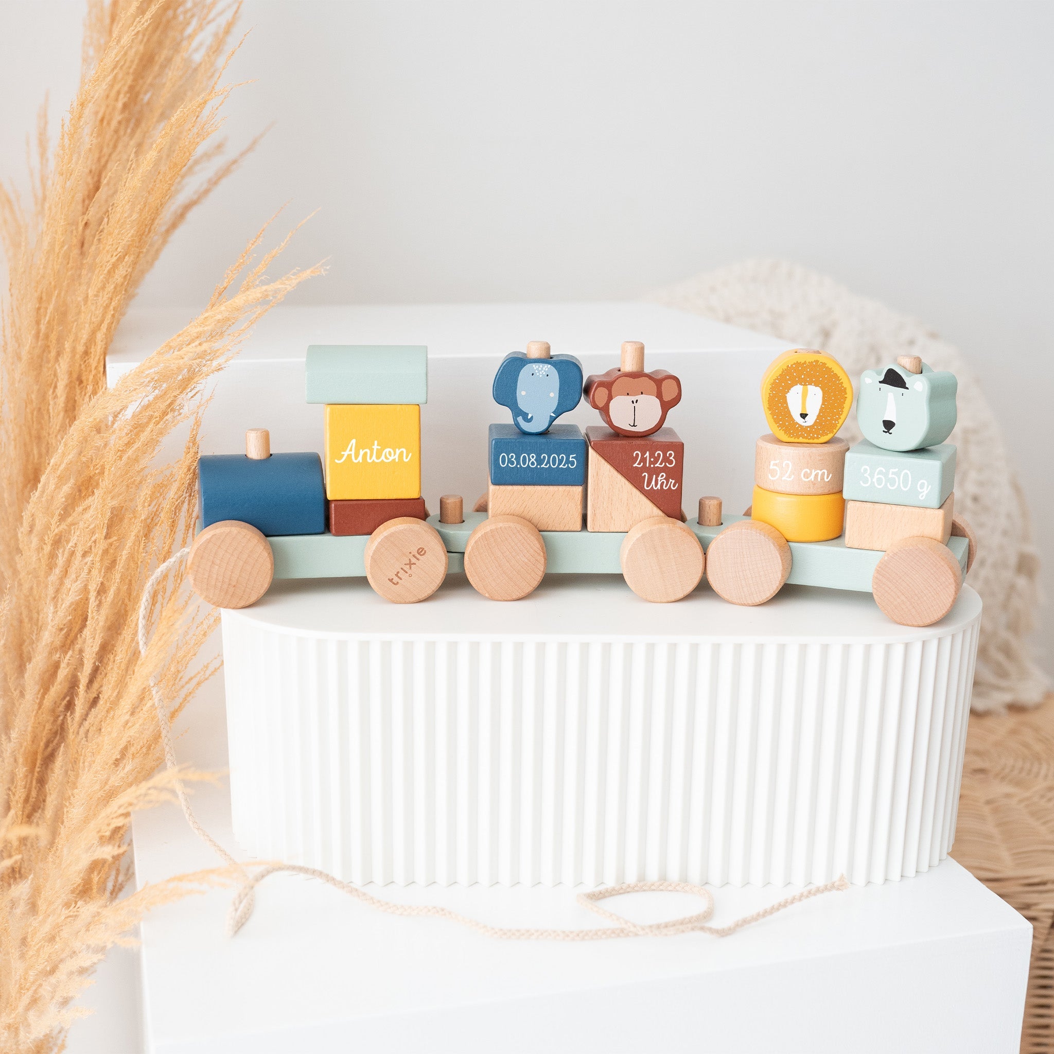 TRIXIE Holz Eisenbahn personalisiert - wunderwunsch