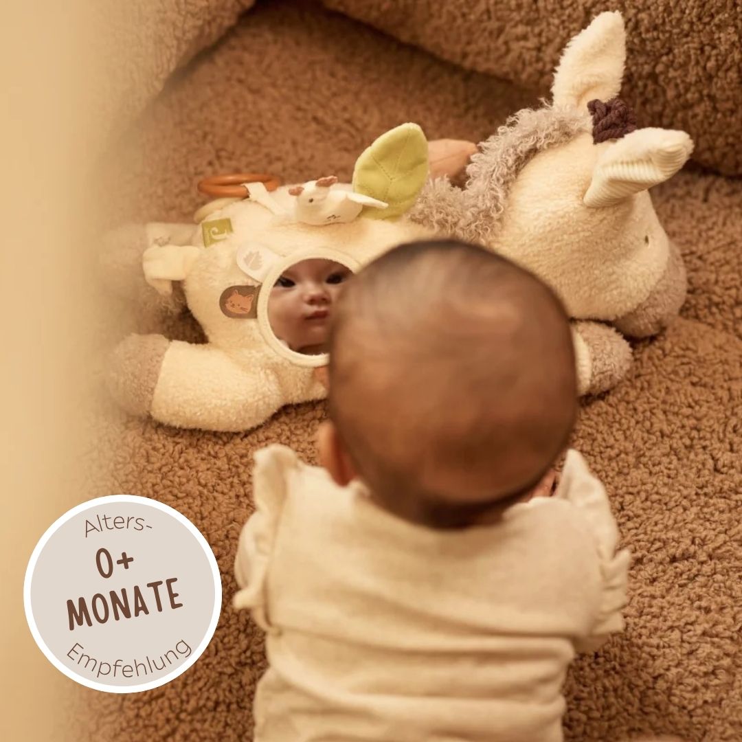 JOLLEIN Aktivitäten-Kuscheltier personalisiert - Esel