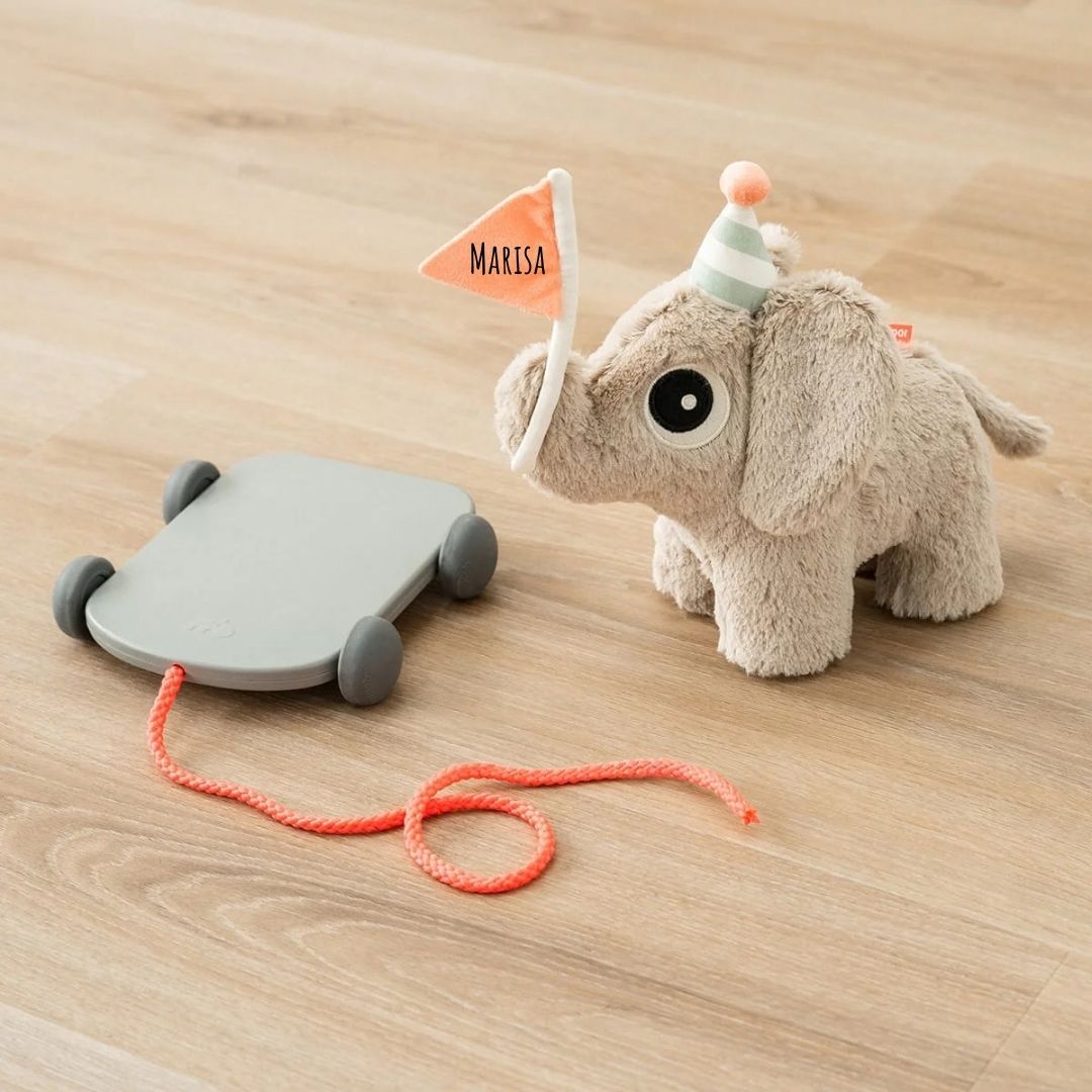DONEBYDEER Nachziehbares 2-in-1 Spielzeug personalisiert - Elefant
