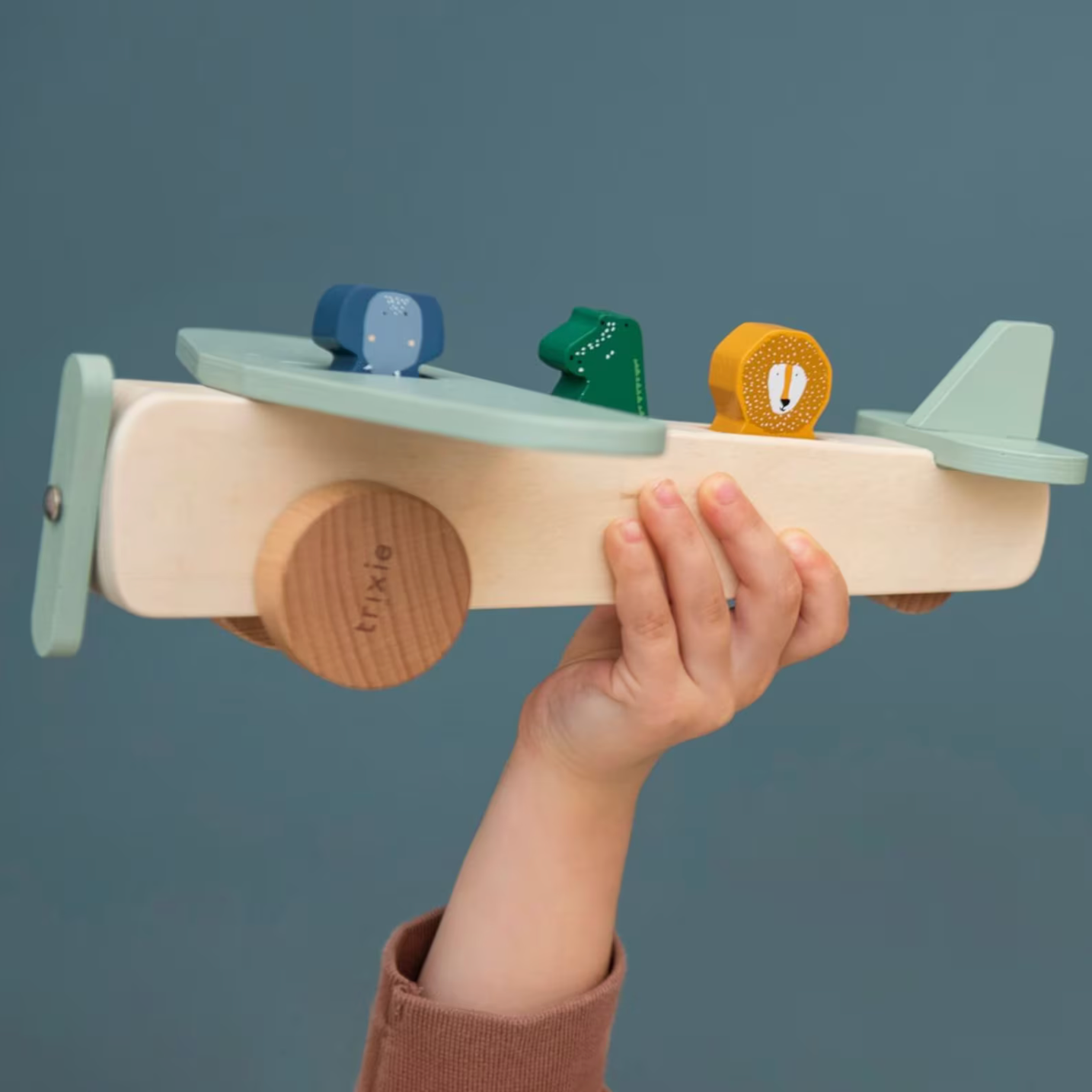 Holz Flugzeug personalisiert - Tiere