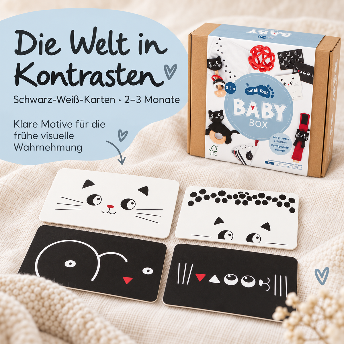 SMALL FOOT Baby-Box - 0 - 3 Monate „Wahrnehmen & Ankommen“