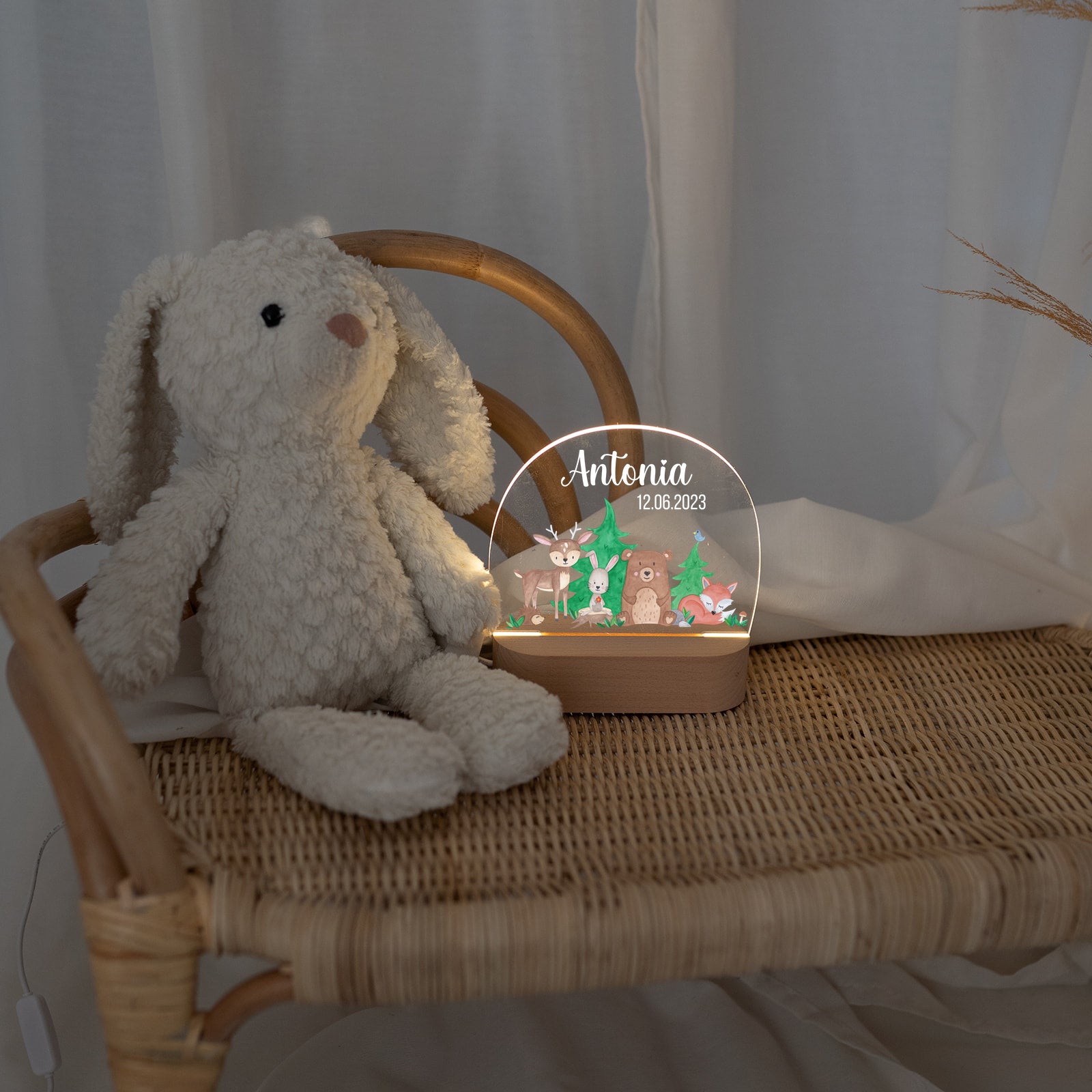 LED Nachtlicht Kinder personalisiert - Waldfreunde Aquarell