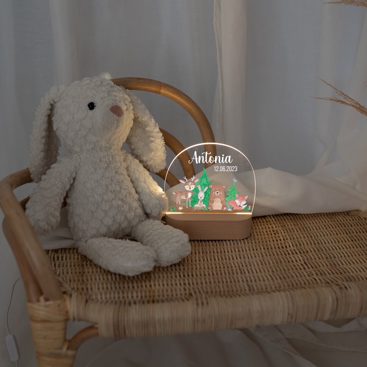LED Nachtlicht Kinder personalisiert - Waldtiere Aquarell