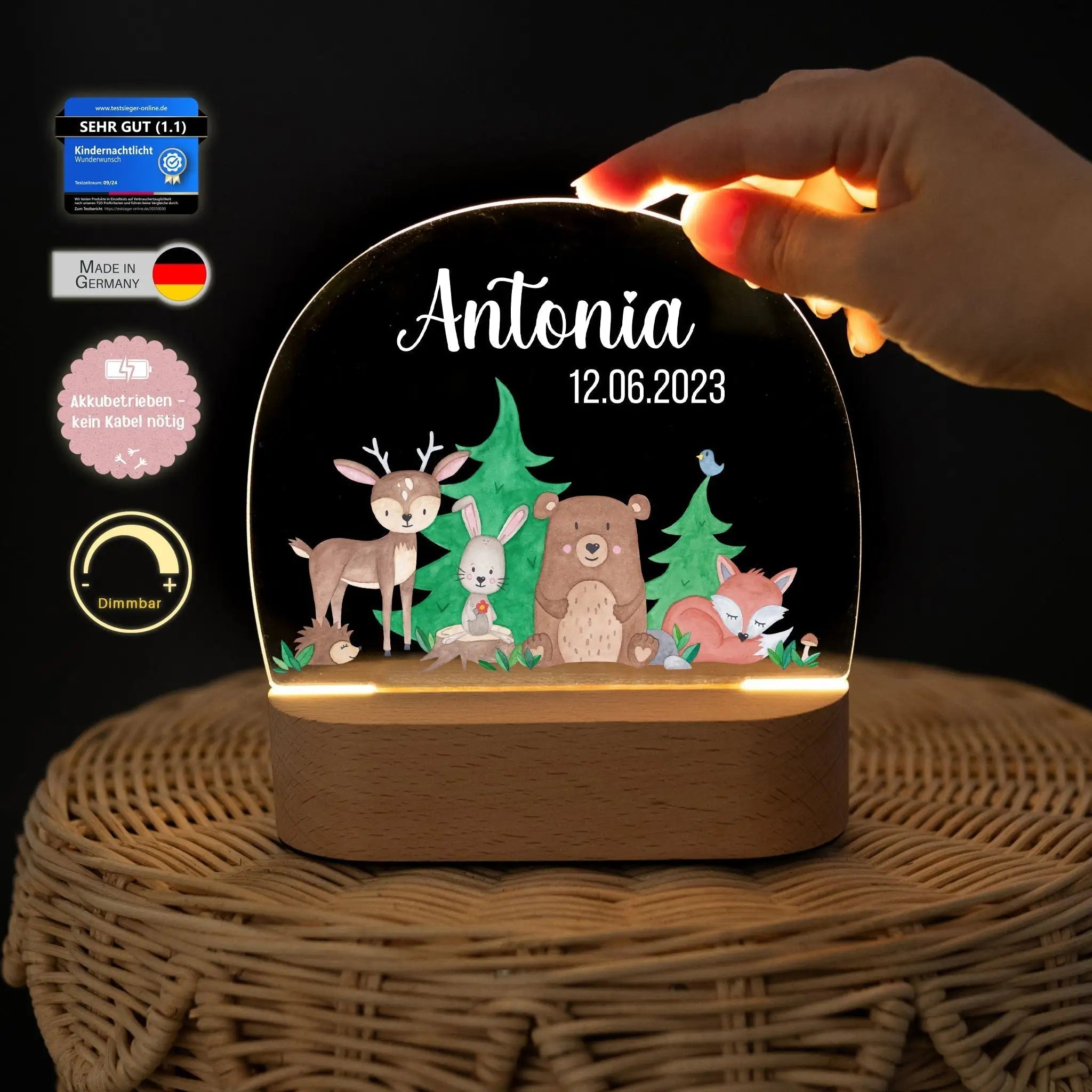 LED Nachtlicht Kinder personalisiert - Waldfreunde Aquarell - wunderwunsch