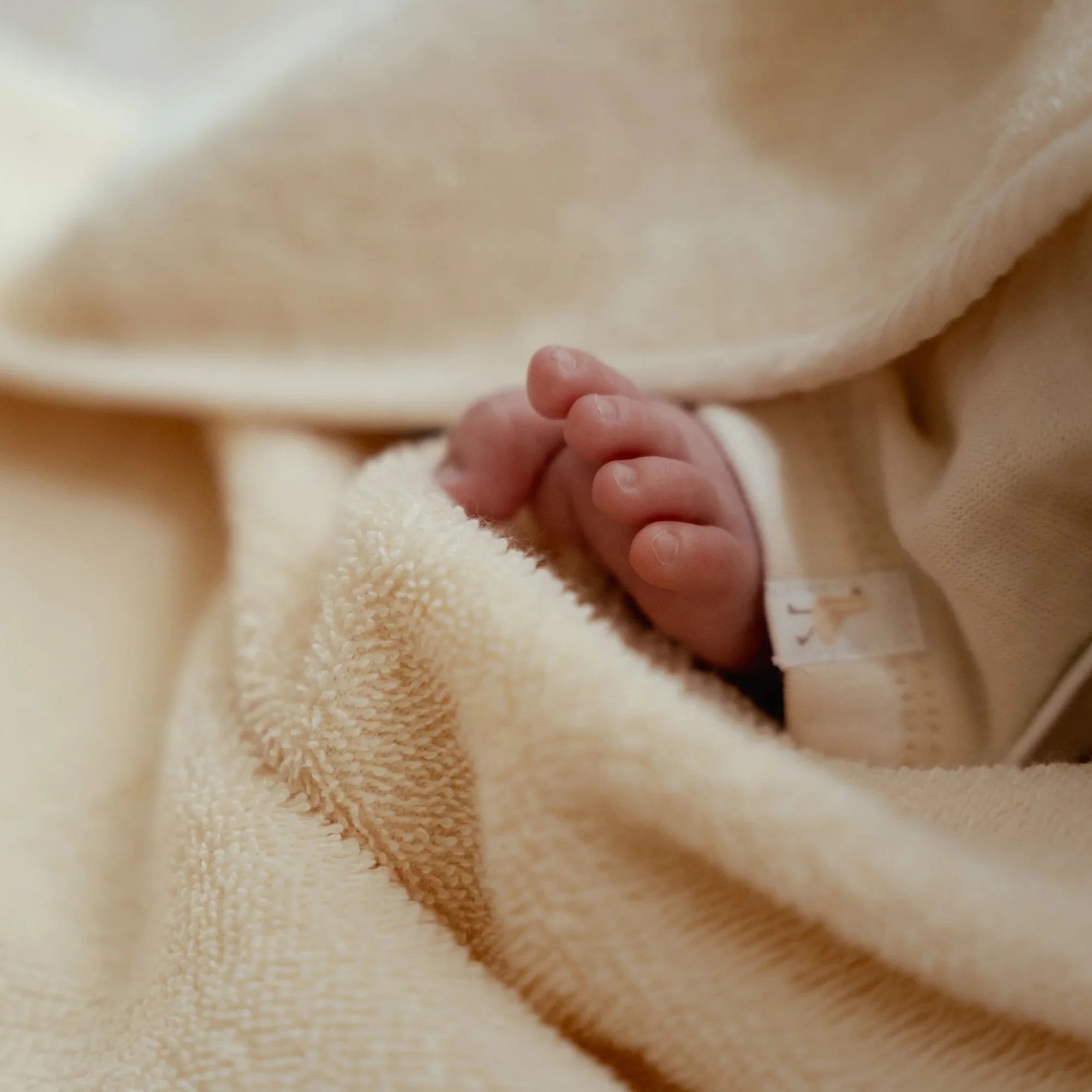 LITTLE DUTCH Badetuch 75x75cm - Gans weiß - Newborn Naturals - wunderwunsch