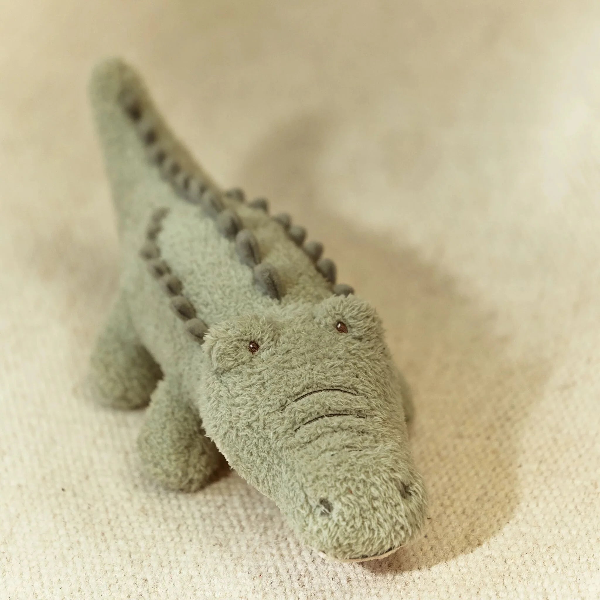 LITTLE DUTCH Kuscheltier - Krokodil - Safari Friends - wunderwunsch