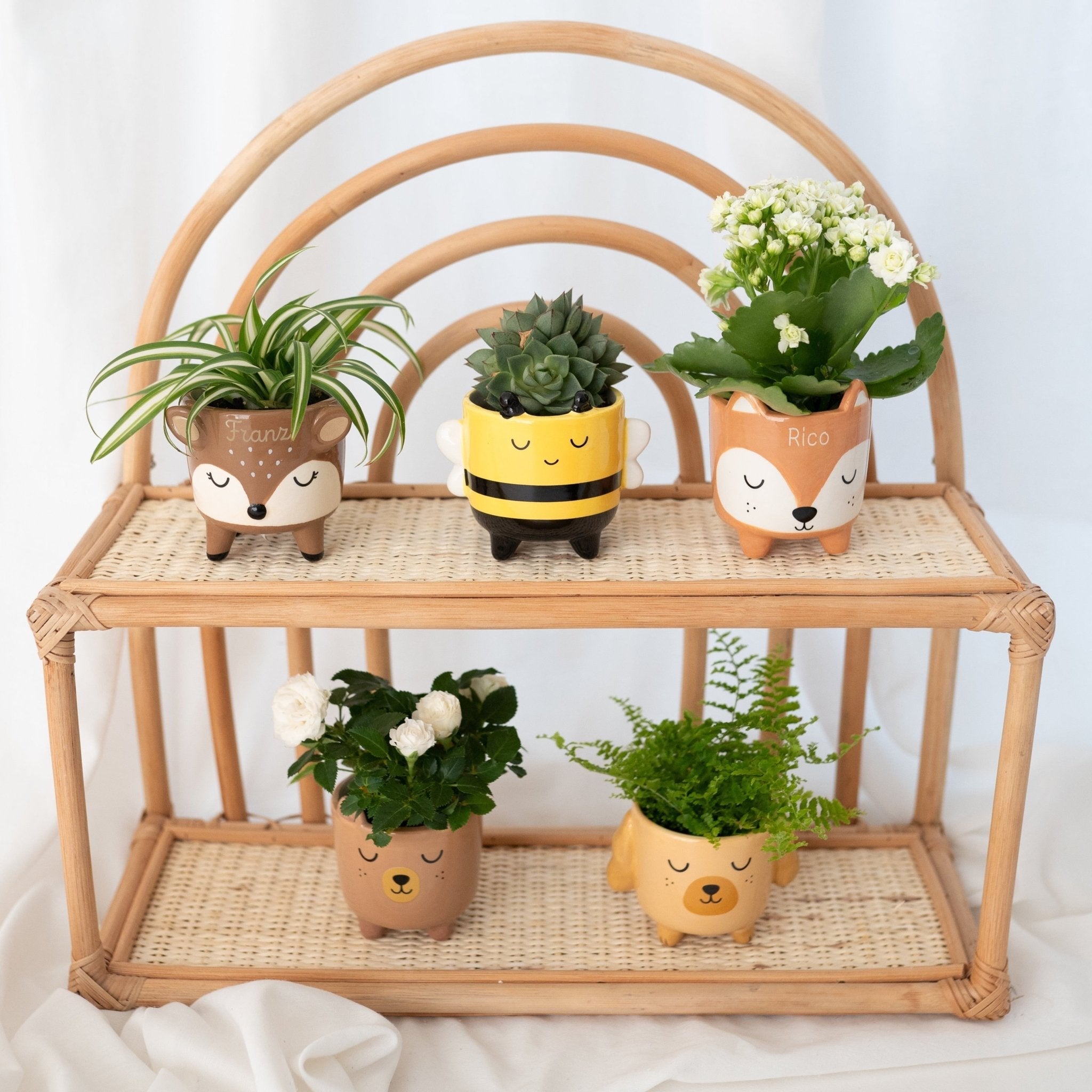 SASSANDBELLE - Kleiner Blumentopf Tier personalisiert - wunderwunsch