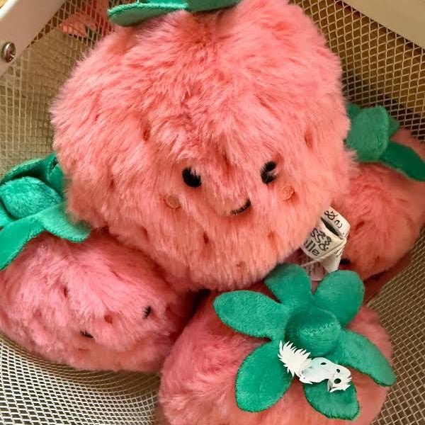 SASSANDBELLE Kuscheltier - Erdbeere - wunderwunsch