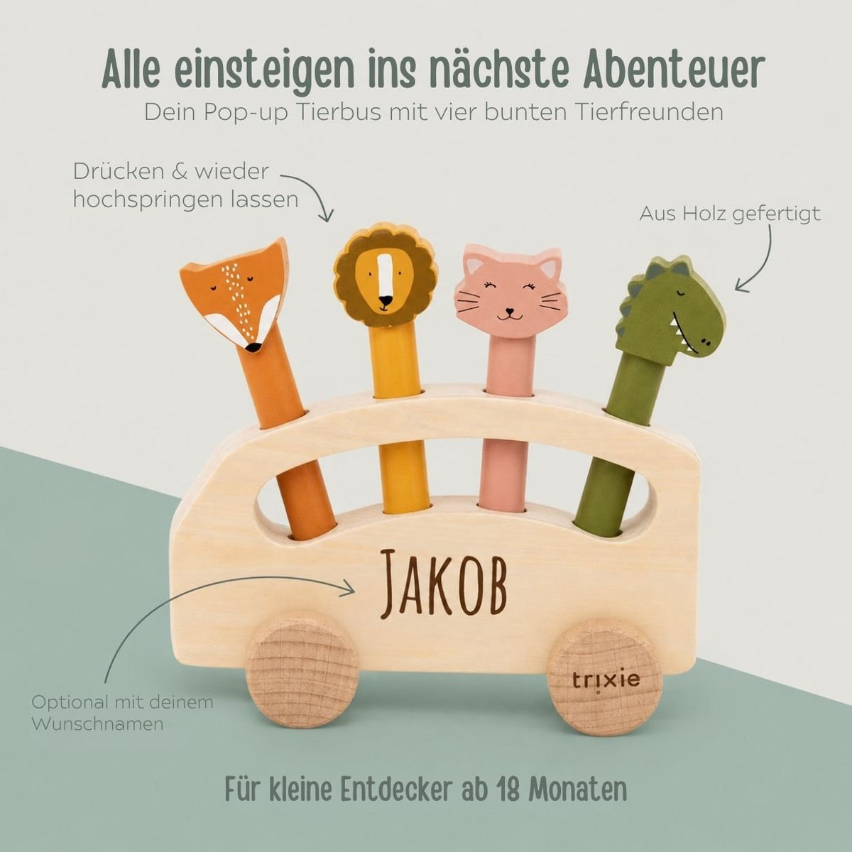 TRIXIE Pop-up Tierbus aus Holz personalisiert - wunderwunsch