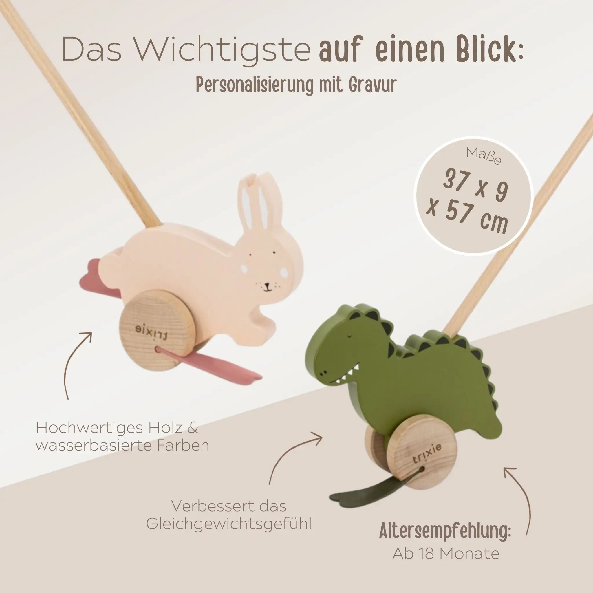 TRIXIE Schiebetier Dino oder Hase Holz personalisierbar - wunderwunsch